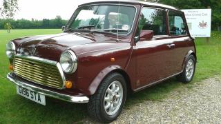 len harvey mini